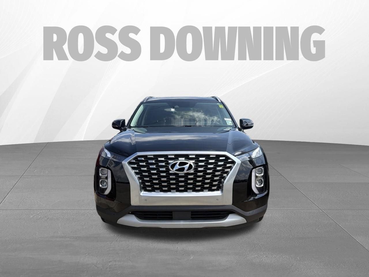 2020 Hyundai Palisade — side profile view